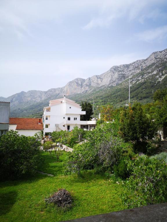 Apartmani Zderic Gradac  Kültér fotó